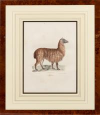 A Set of Six Animalier Prints 15 3/4 x 10 3/4 inches. — 19TH CENTURY