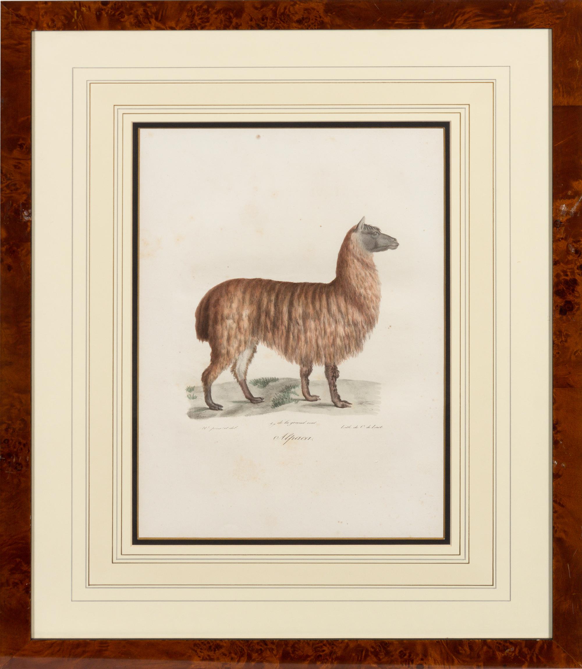 A Set of Six Animalier Prints 15 3/4 x 10 3/4 inches. — 19TH CENTURY
