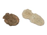 Two Acheulean Stone Handaxes