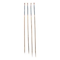 Southeastern Painted Bird Darts