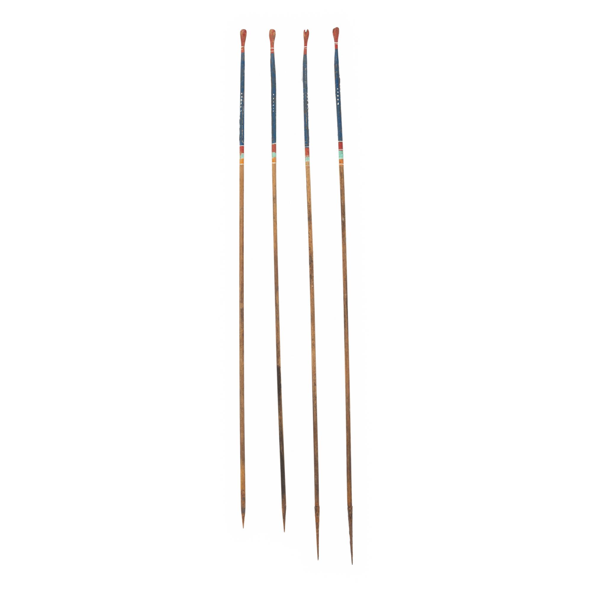 Southeastern Painted Bird Darts