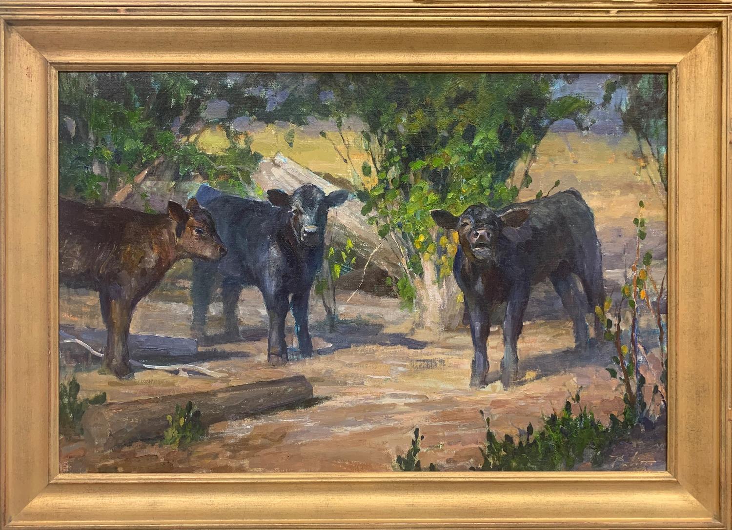 Spring Calves