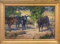 Spring Calves