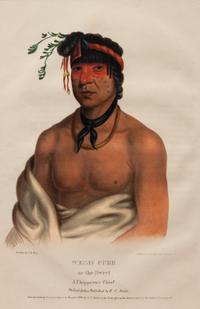 Nine Portraits, from Indian Tribes of North America , 1836-1838