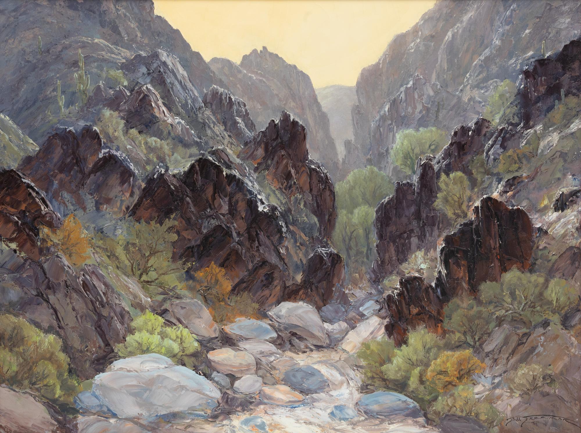 Mysterious Canyon