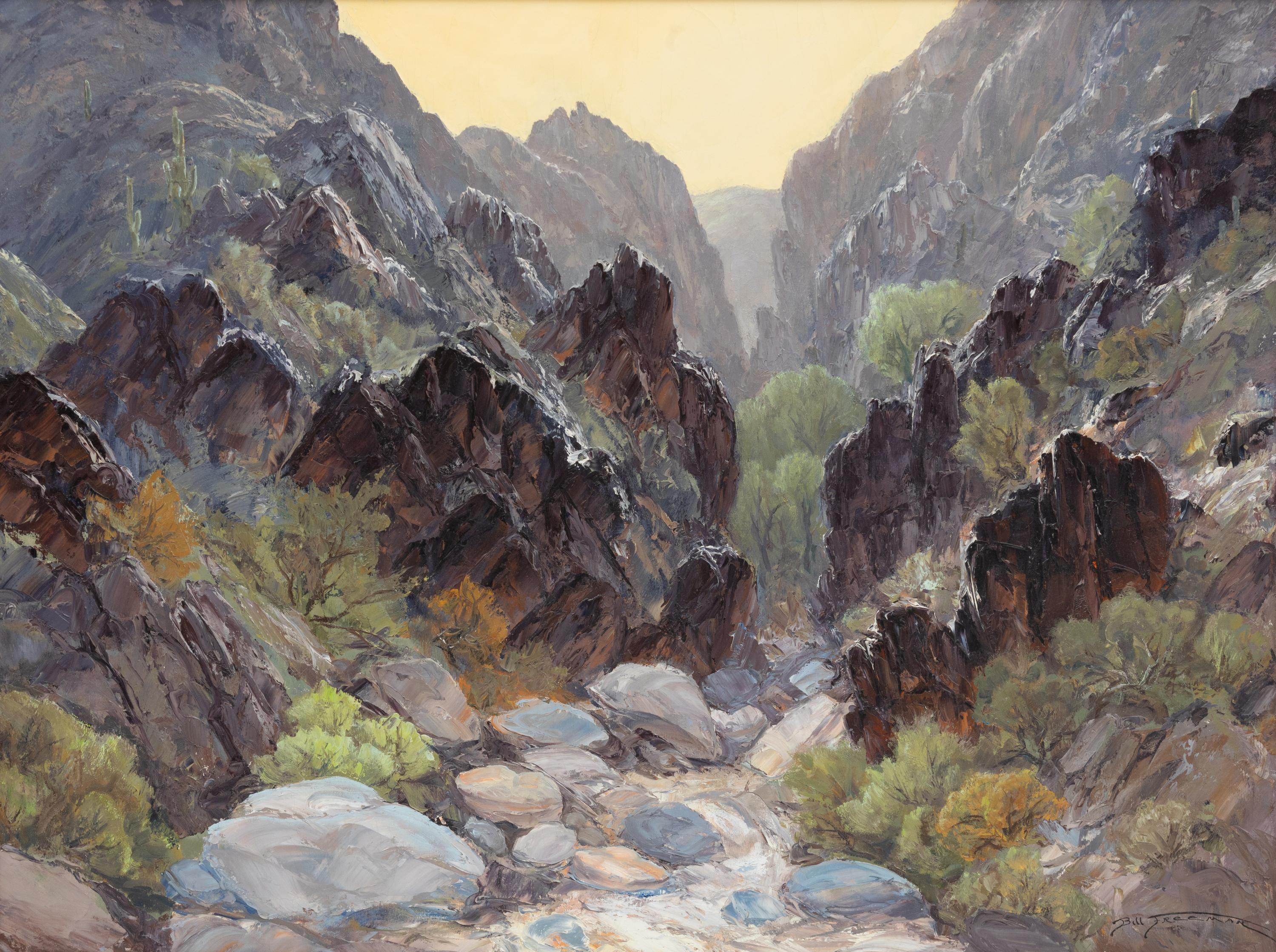 Mysterious Canyon