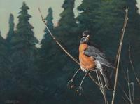 Robin
