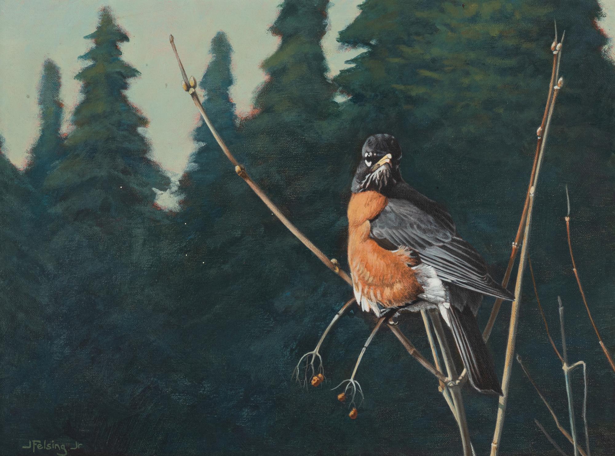 Robin