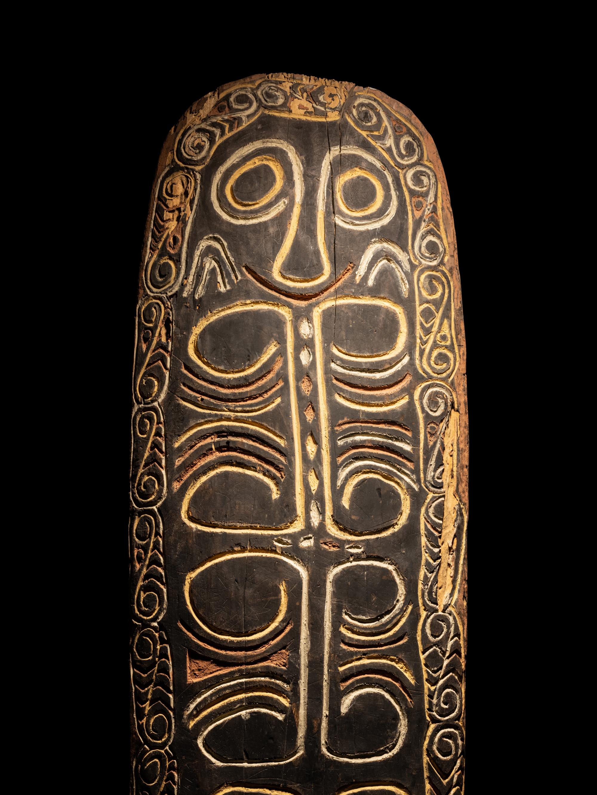An Oceanic Wood War Shield