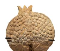 A Western Greek Terracotta Pomegranate