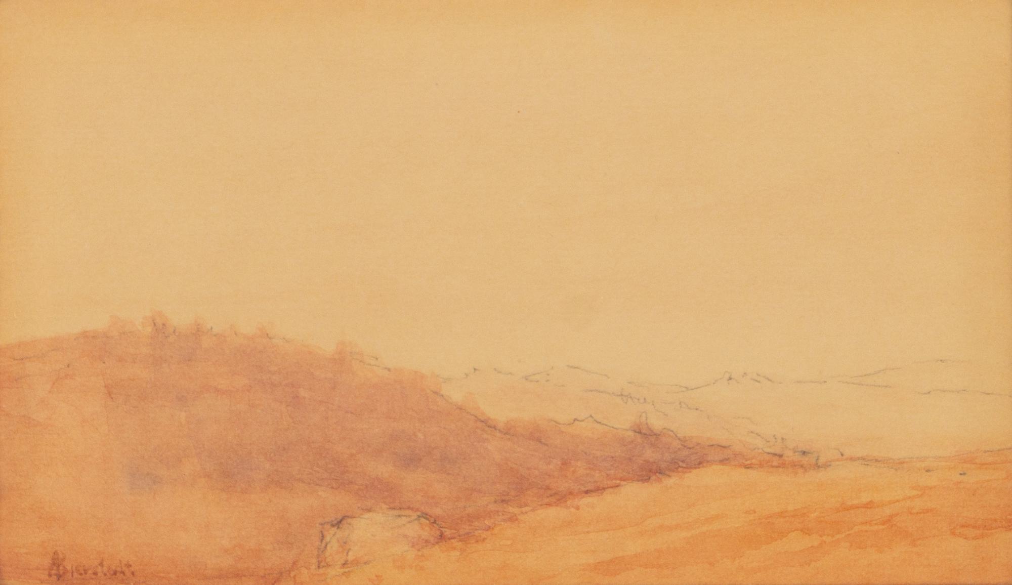 Landscape Study