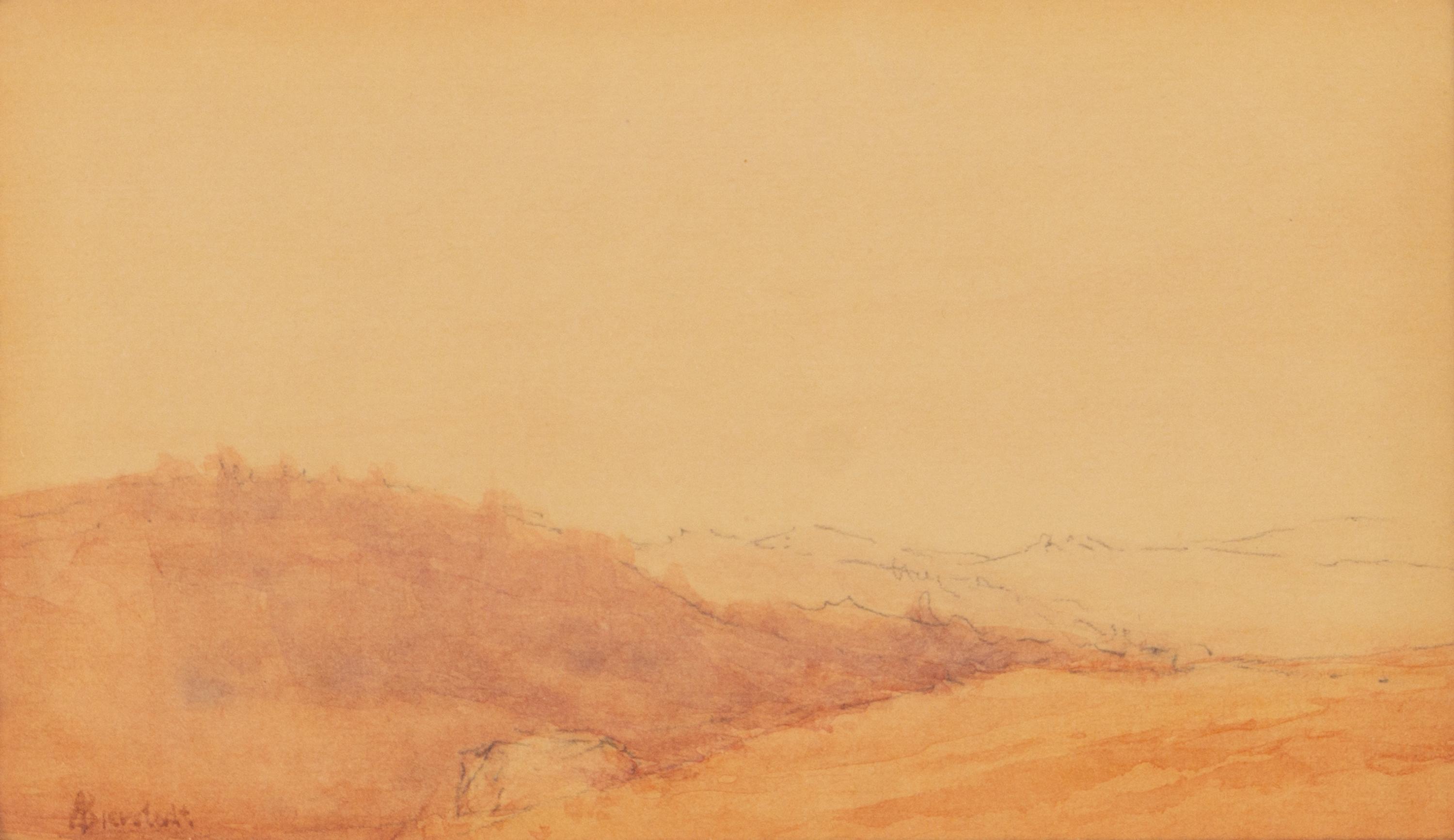 Landscape Study