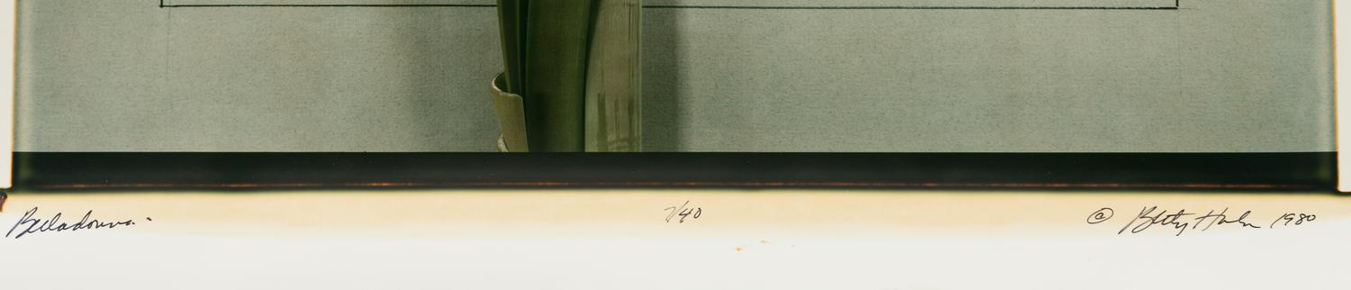 Five Still Lifes (portfolio of five prints with clamshell box)