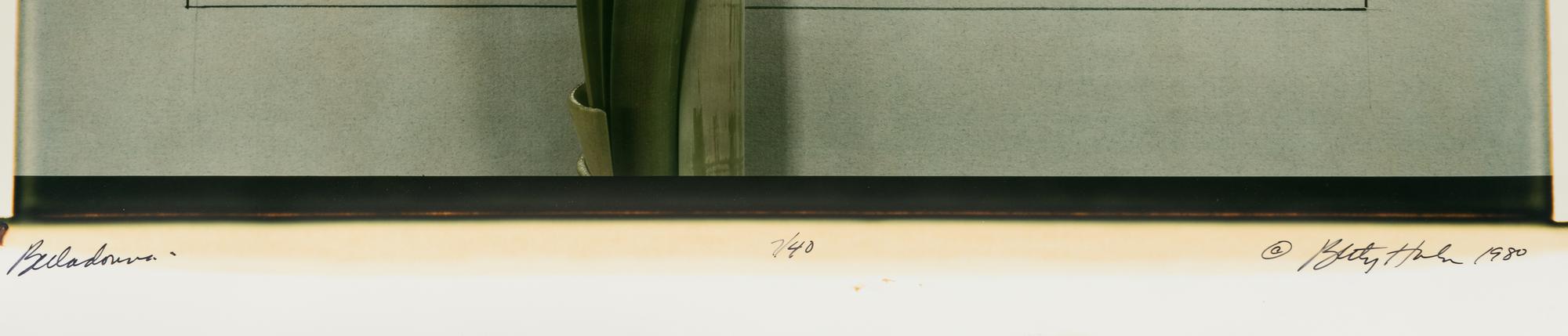 Five Still Lifes (portfolio of five prints with clamshell box)