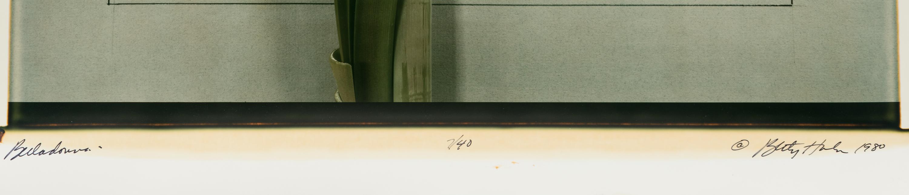 Five Still Lifes (portfolio of five prints with clamshell box)