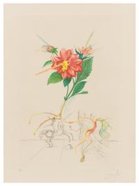 Salvador Dali