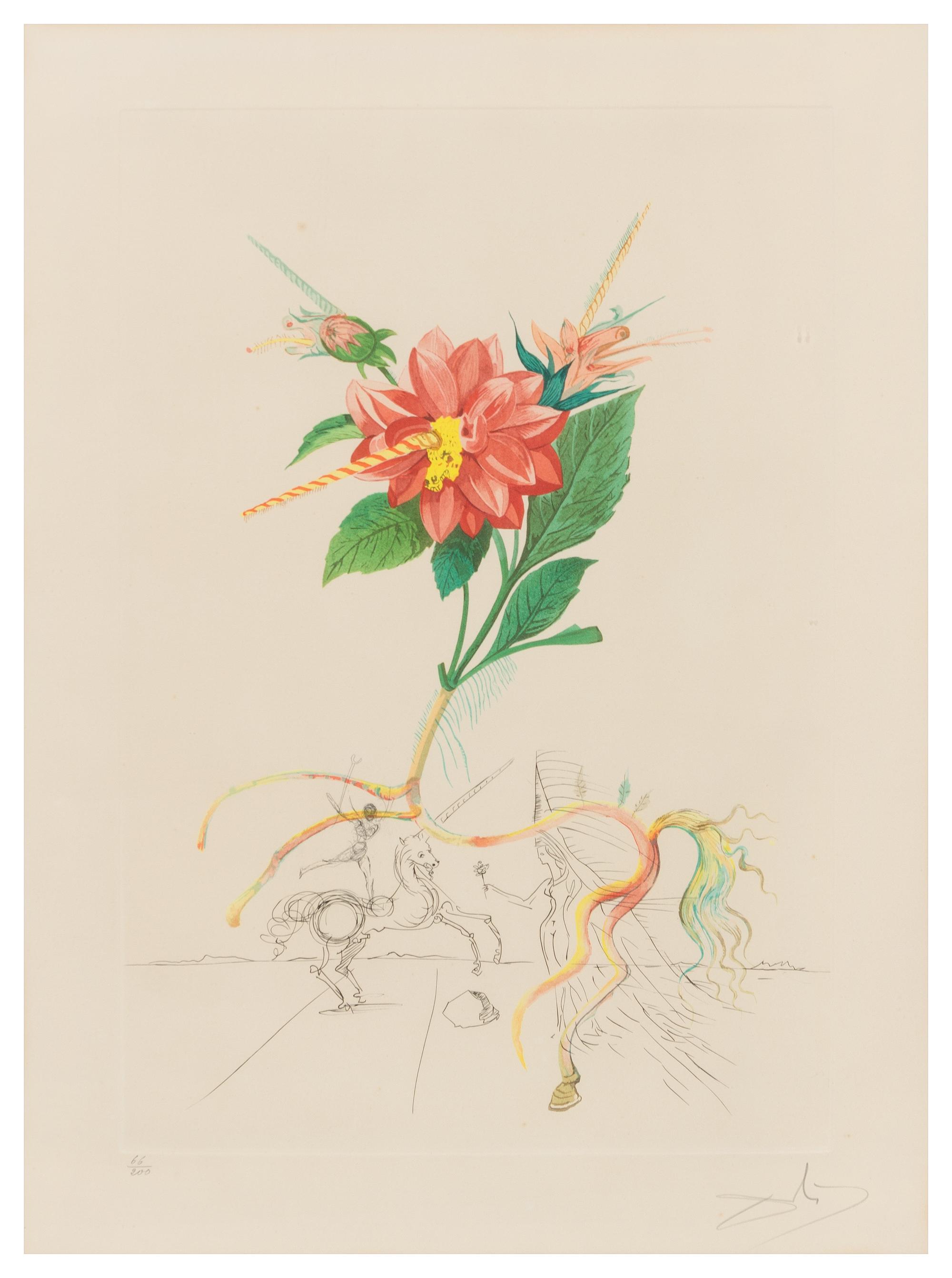 Salvador Dali