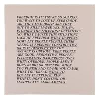 Inflammatory Essays (set of 29) , 1979-1982
