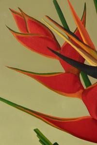 Tropical Still Life