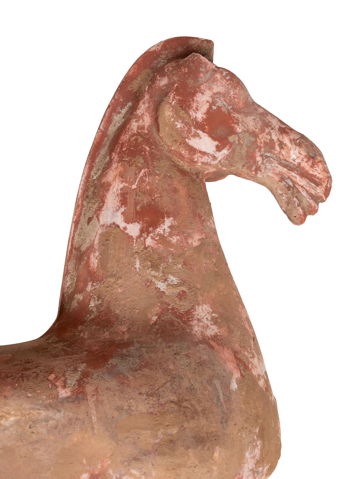 Two Chinese Terra Cotta Horses with Polychrome Remnants