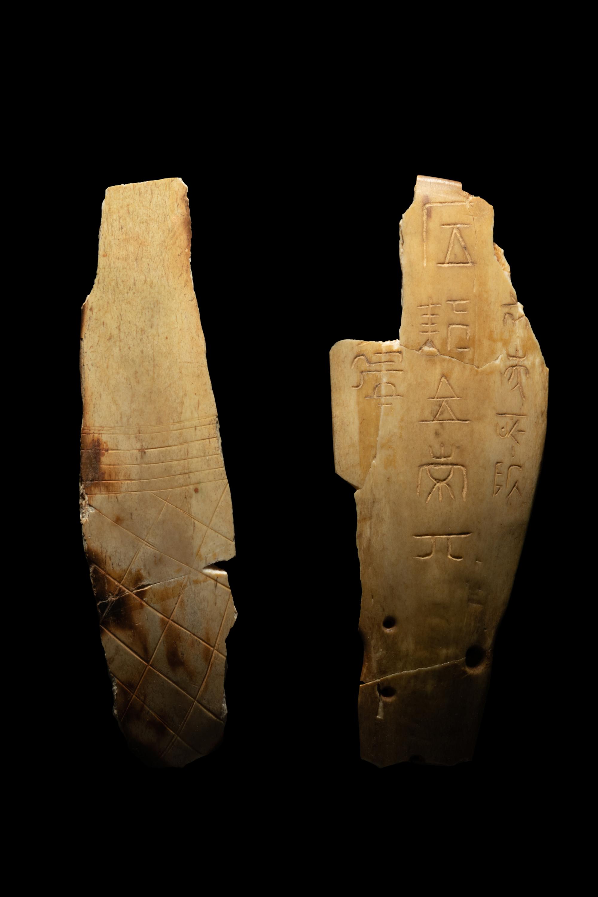 Four Oracle Bones