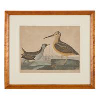 Alexander Lawson (1773-1846) and John G. Warnicke (died 1818), After Alexander Wilson (1766-1813), A Set of Sixteen Hand-Colored Engravings of Various Birds