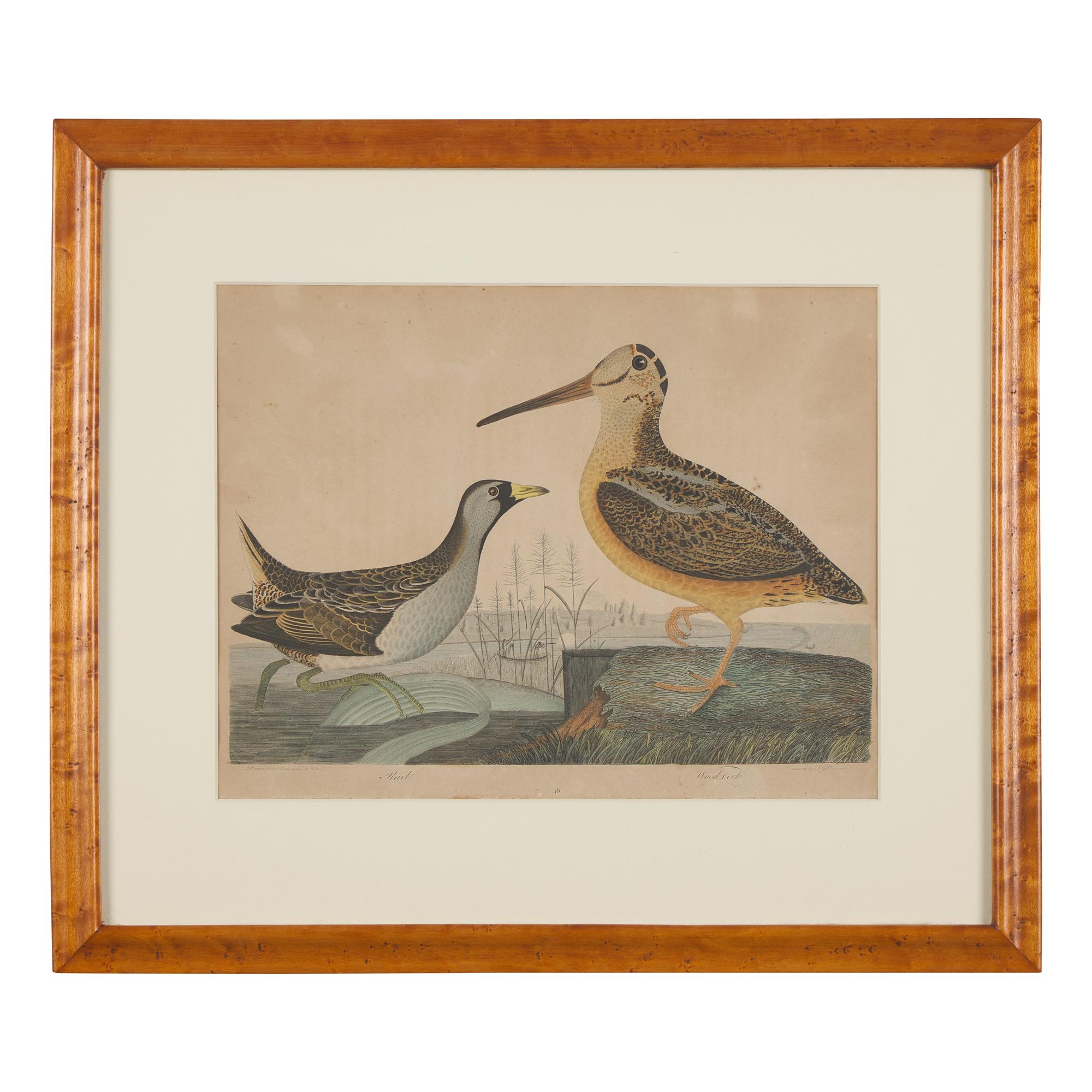 Alexander Lawson (1773-1846) and John G. Warnicke (died 1818), After Alexander Wilson (1766-1813), A Set of Sixteen Hand-Colored Engravings of Various Birds