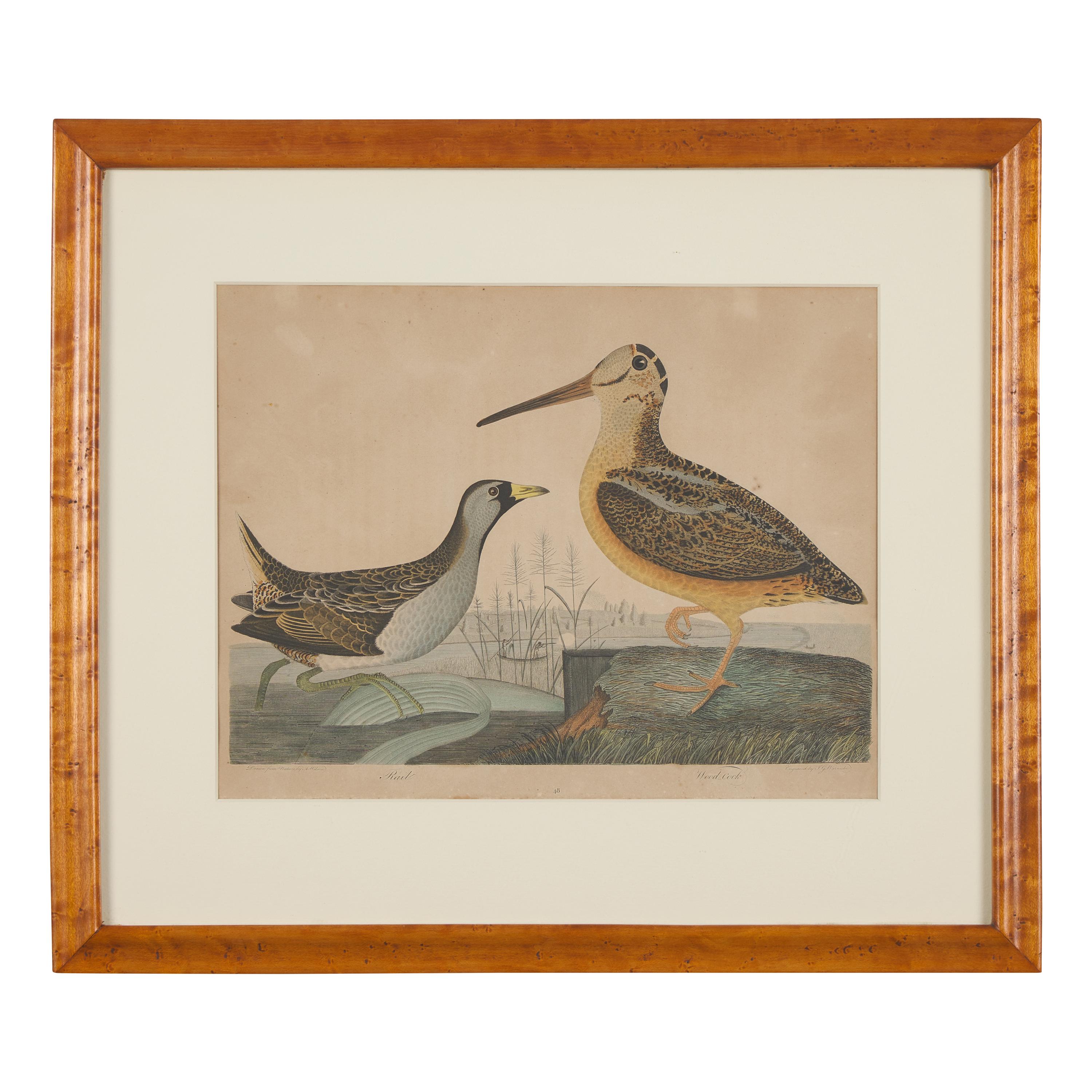 Alexander Lawson (1773-1846) and John G. Warnicke (died 1818), After Alexander Wilson (1766-1813), A Set of Sixteen Hand-Colored Engravings of Various Birds