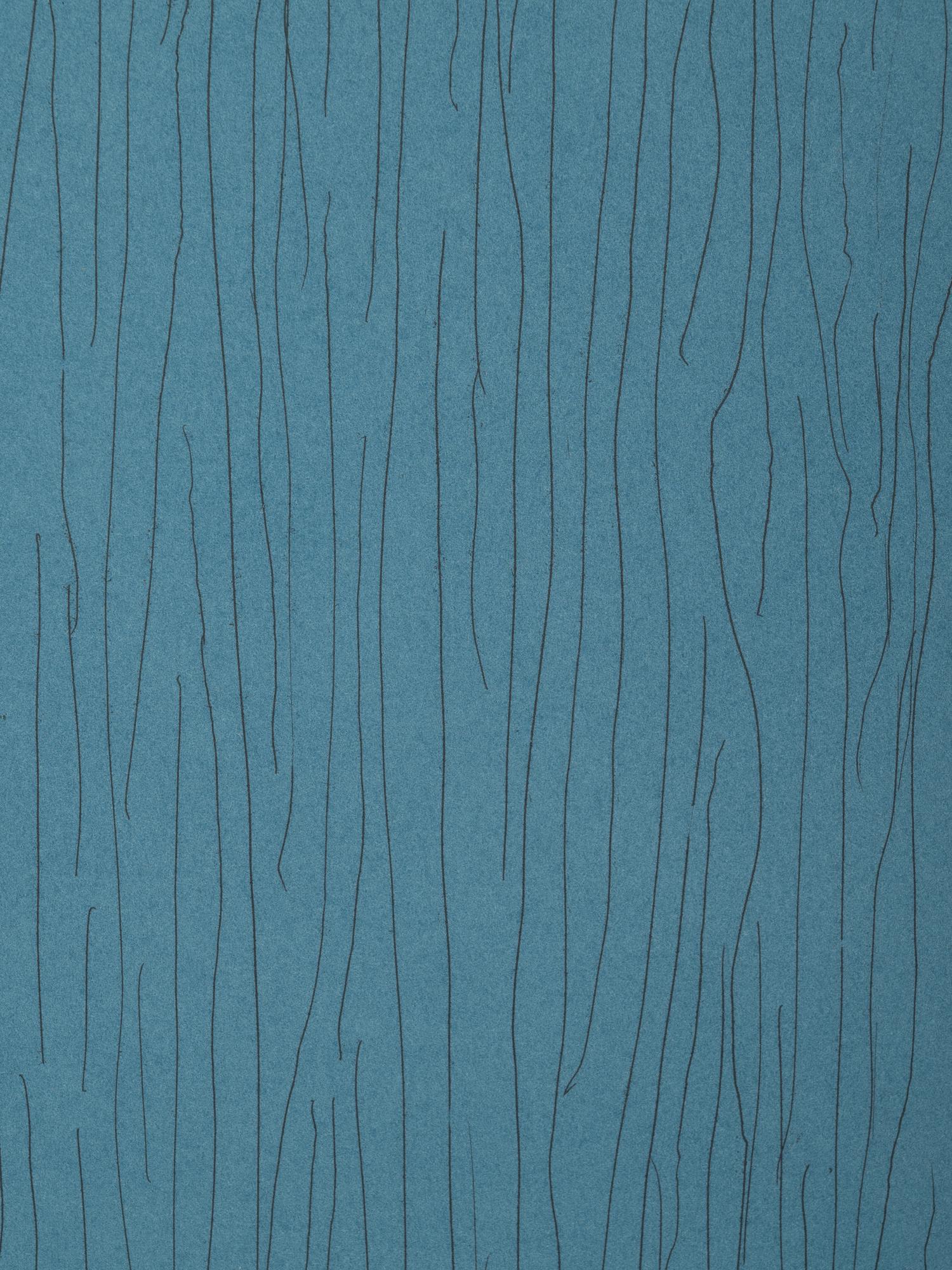 Vertical Lines Not Straight Not Touching on Color (plate numbers 1, 2, and 5 from the portfolio of six)