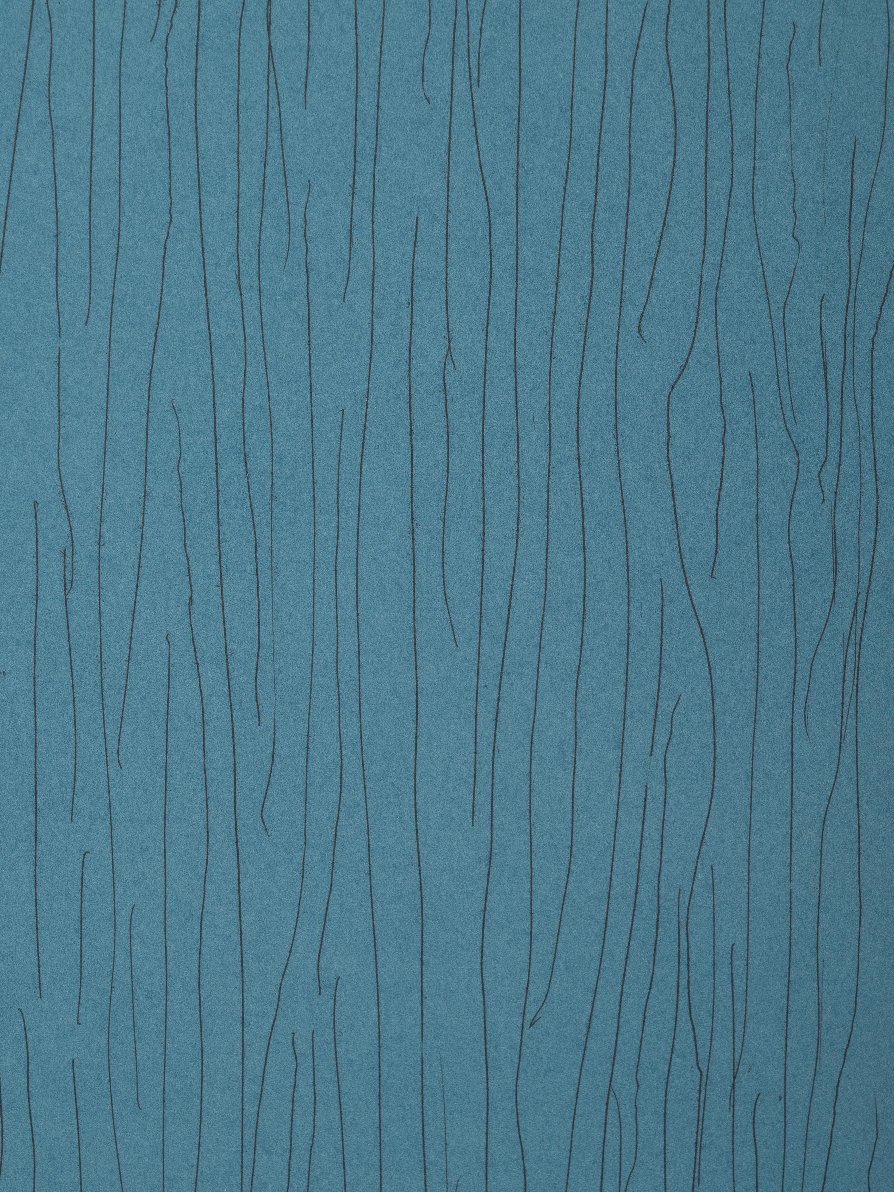 Vertical Lines Not Straight Not Touching on Color (plate numbers 1, 2, and 5 from the portfolio of six)