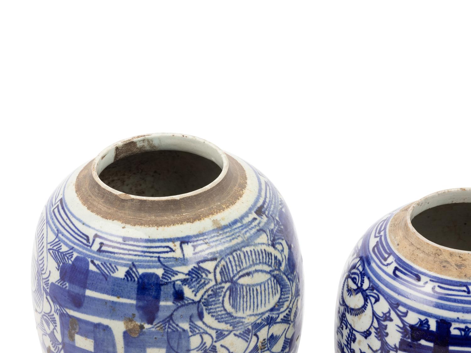 Two Chinese Blue and White Porcelain Ginger Jars