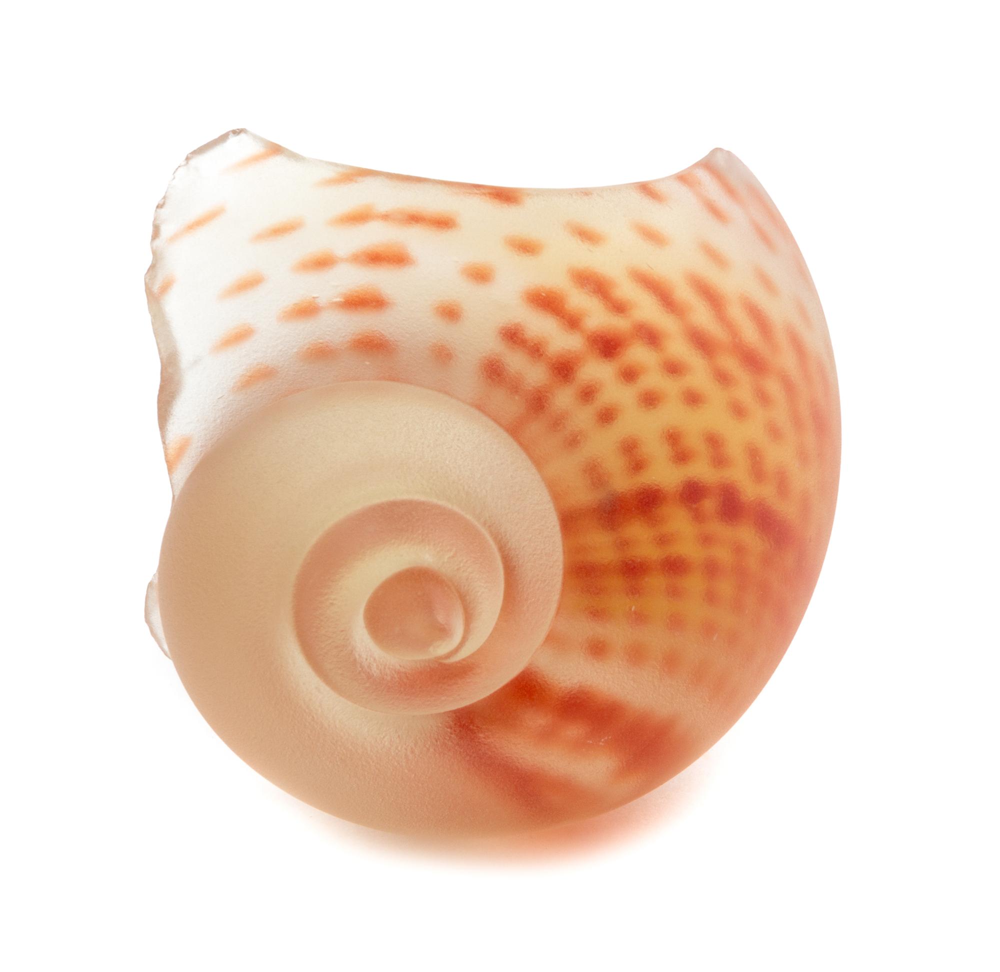 Eric Hopkins, (American, b. 1951), Untitled Shell Form, 1979