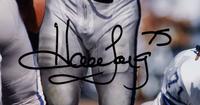 A Group of Howie Long Signed Autograph Items Featuring a Game Model Raiders Jersey