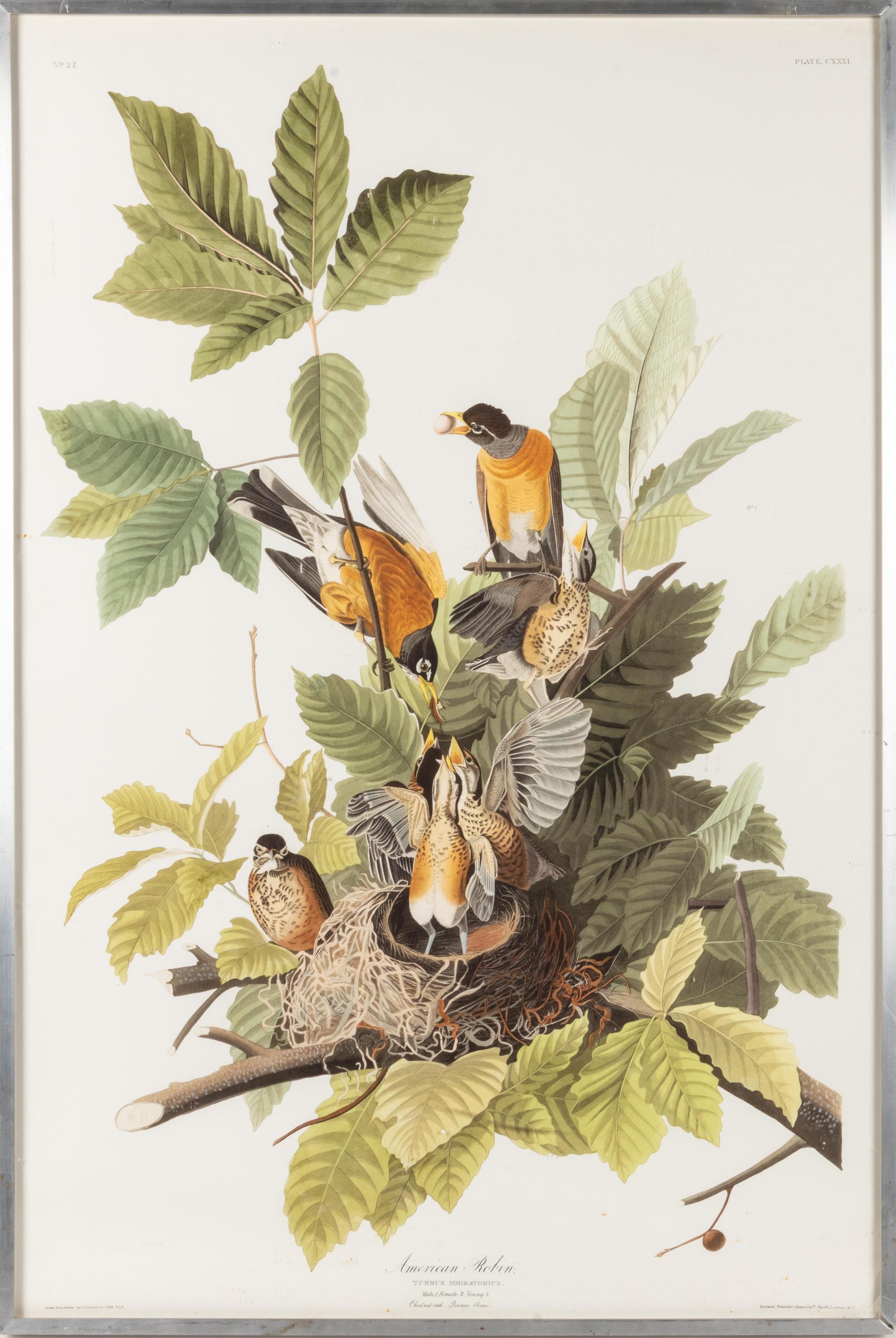 [NATURAL HISTORY] (AUDUBON, John James, after)