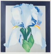 Iris I and Oriental Iris