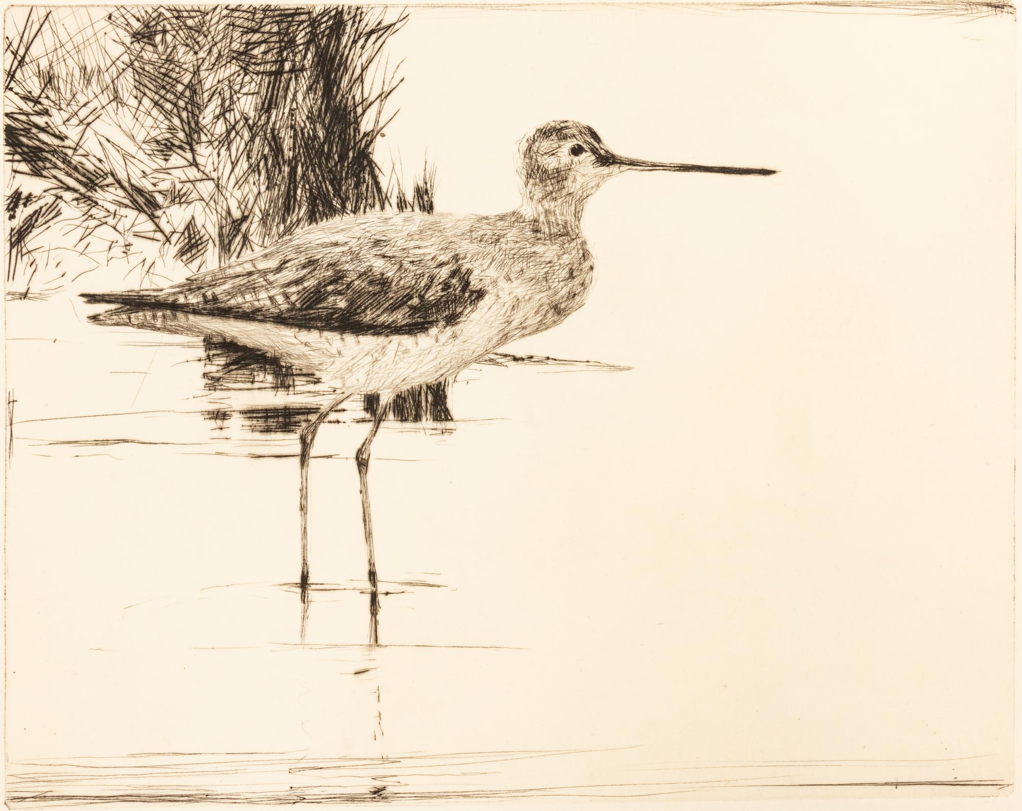 Yellowlegs No. 4