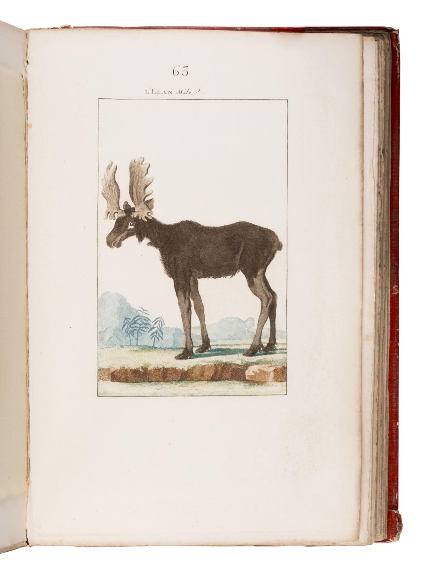 [Natural History]. Manuel, Blaise Etienne. -- Sève, Jacques Eustache de (d. 1829), illustrator. Nouveau Muséum d'Histoire Naturelle... Dessinées par M. Desève, et autres habiles Artistes... Tome Premier . Paris: Chez F. Dufart, 1806.
