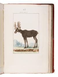 [Natural History]. Manuel, Blaise Etienne. -- Sève, Jacques Eustache de (d. 1829), illustrator. Nouveau Muséum d'Histoire Naturelle... Dessinées par M. Desève, et autres habiles Artistes... Tome Premier . Paris: Chez F. Dufart, 1806.