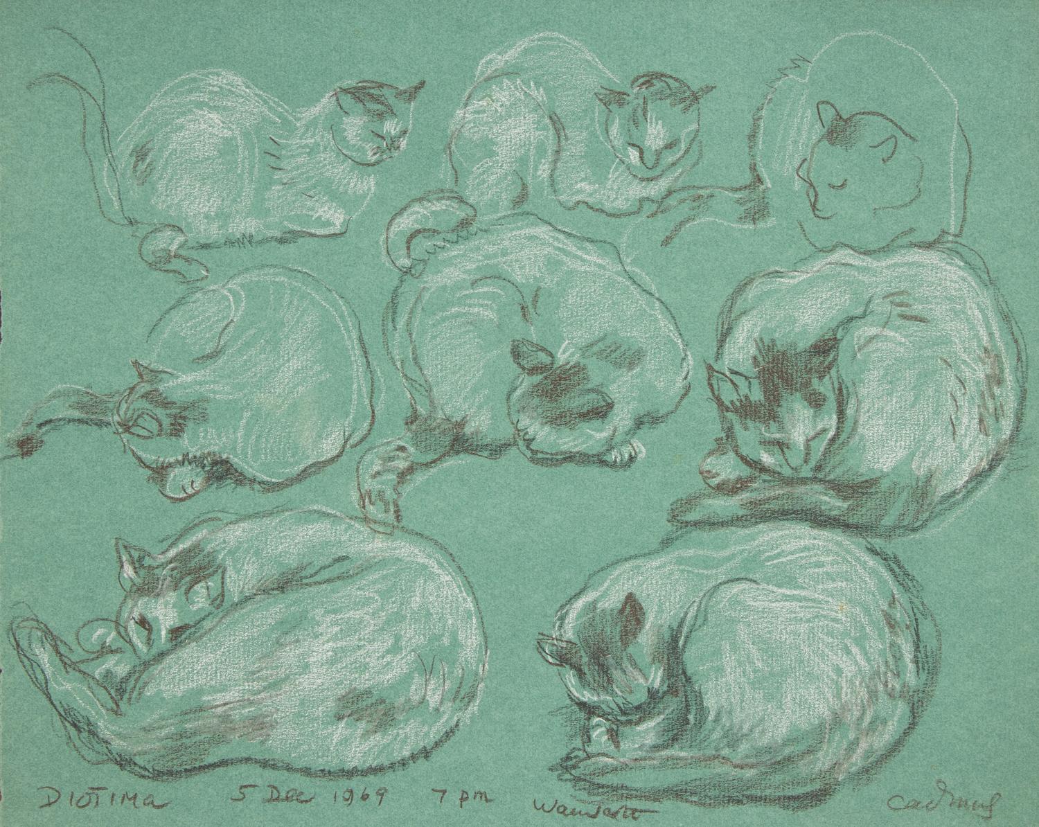 Diotima (Cat Studies) , 1969