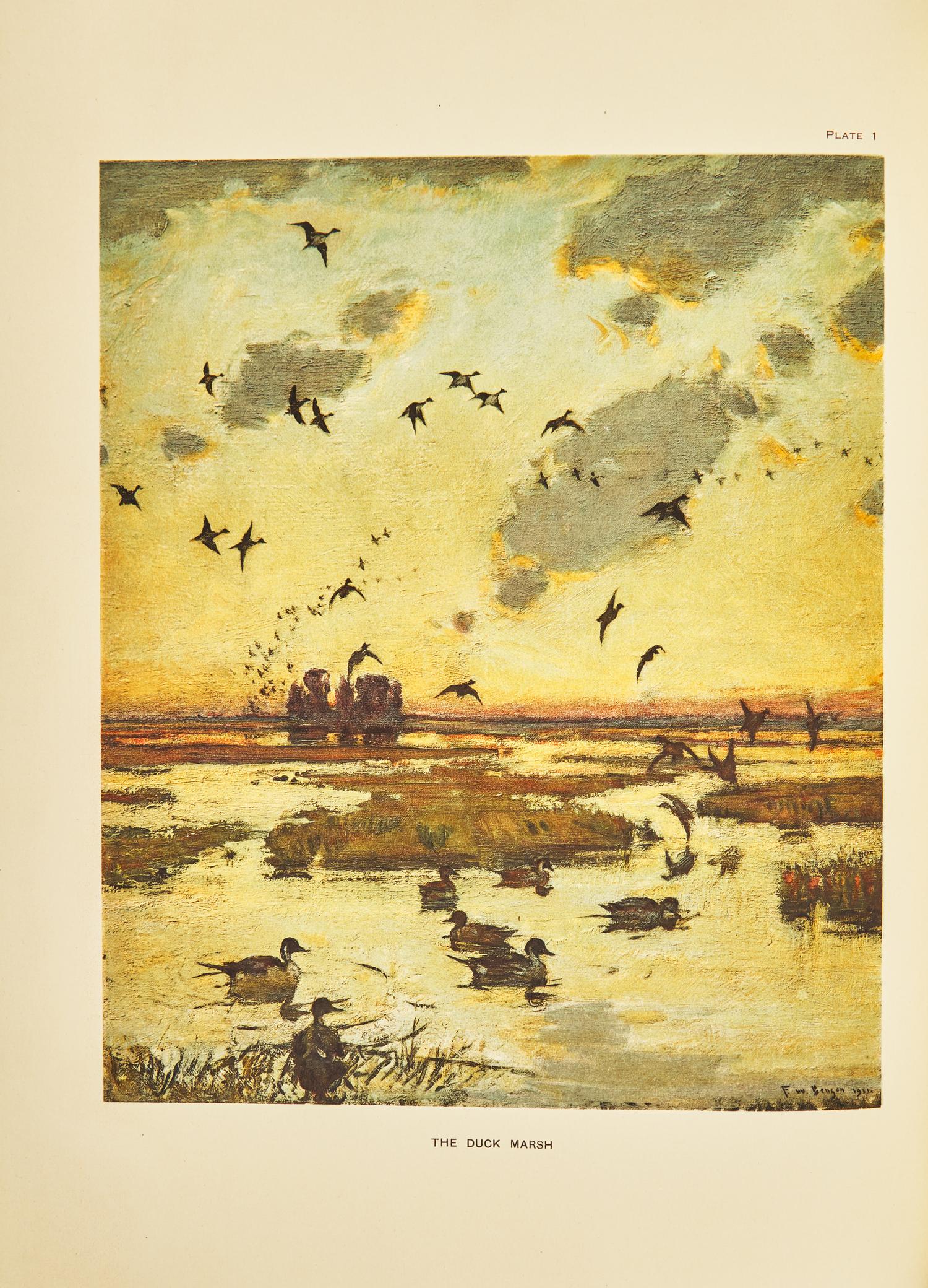 [Natural History] Phillips, John C. A Natural History of the Ducks