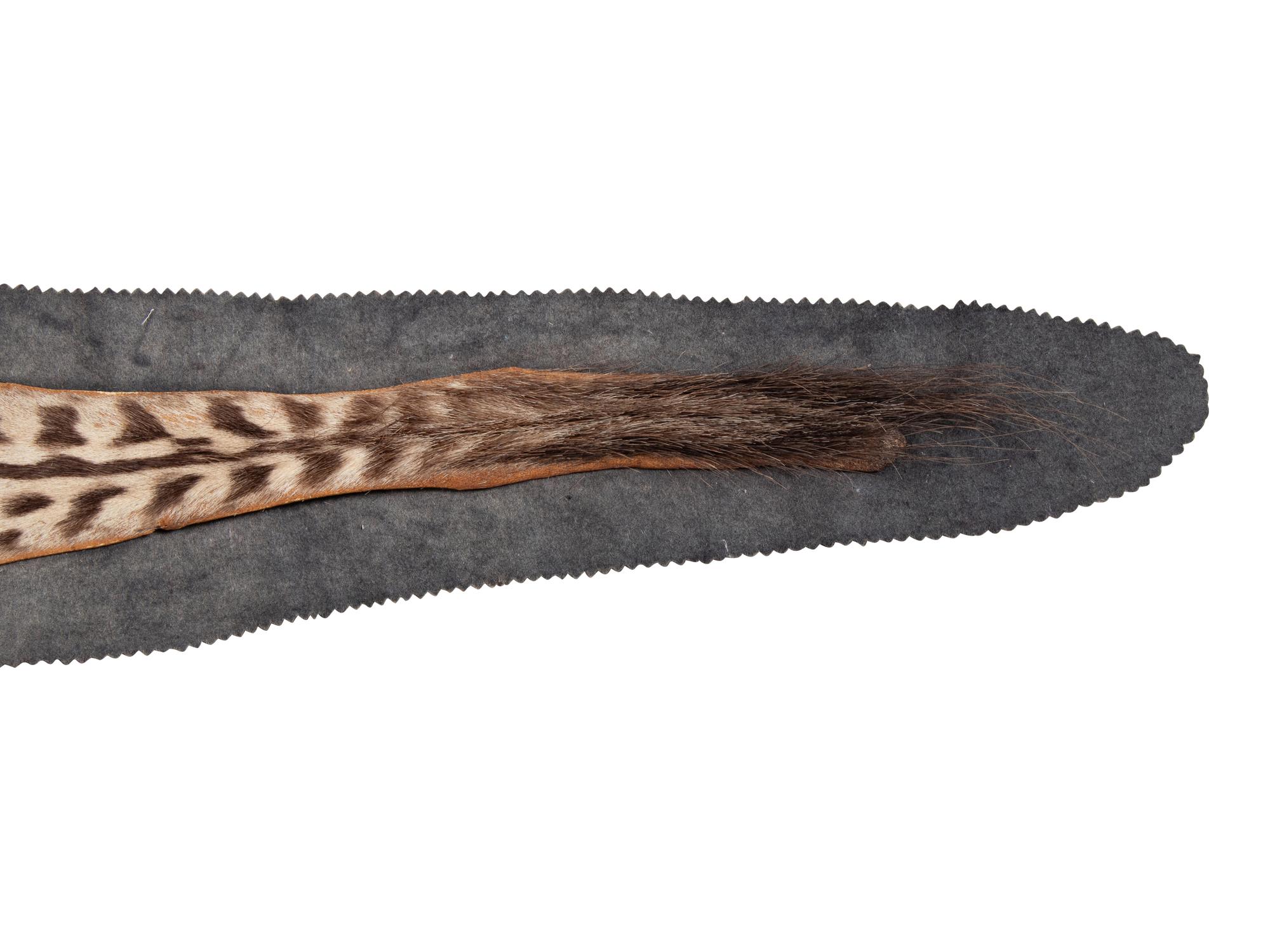 A Taxidermy Zebra Rug