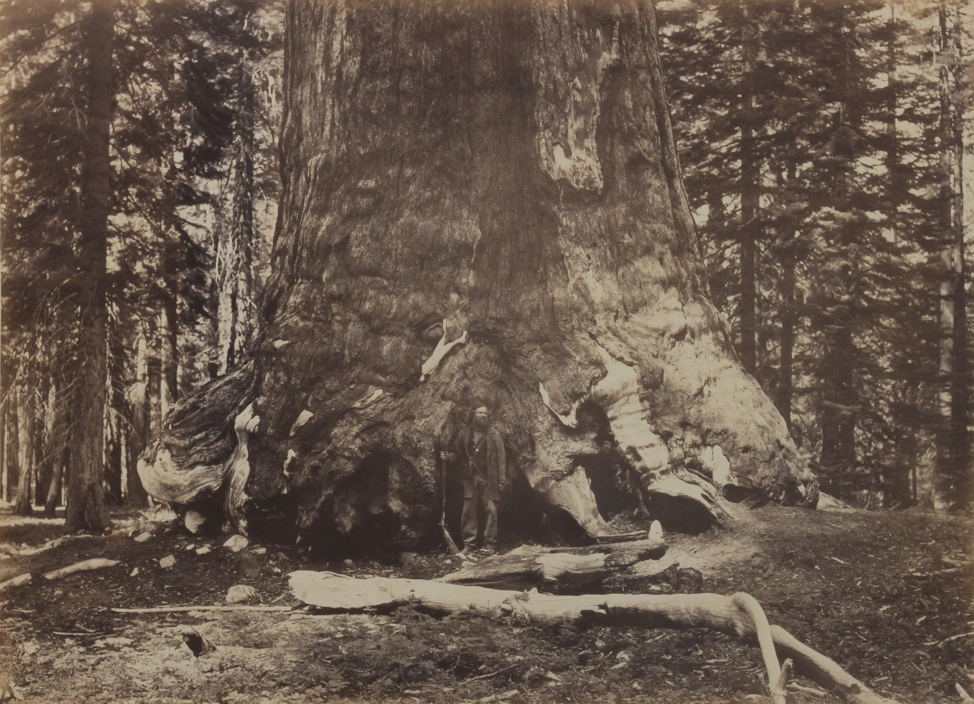 Carleton Eugene Watkins, (American, 1829-1916), North Dome, Royal Arches, Washington Column Half Dome, 4967 ft. Section of Grizzly Gian