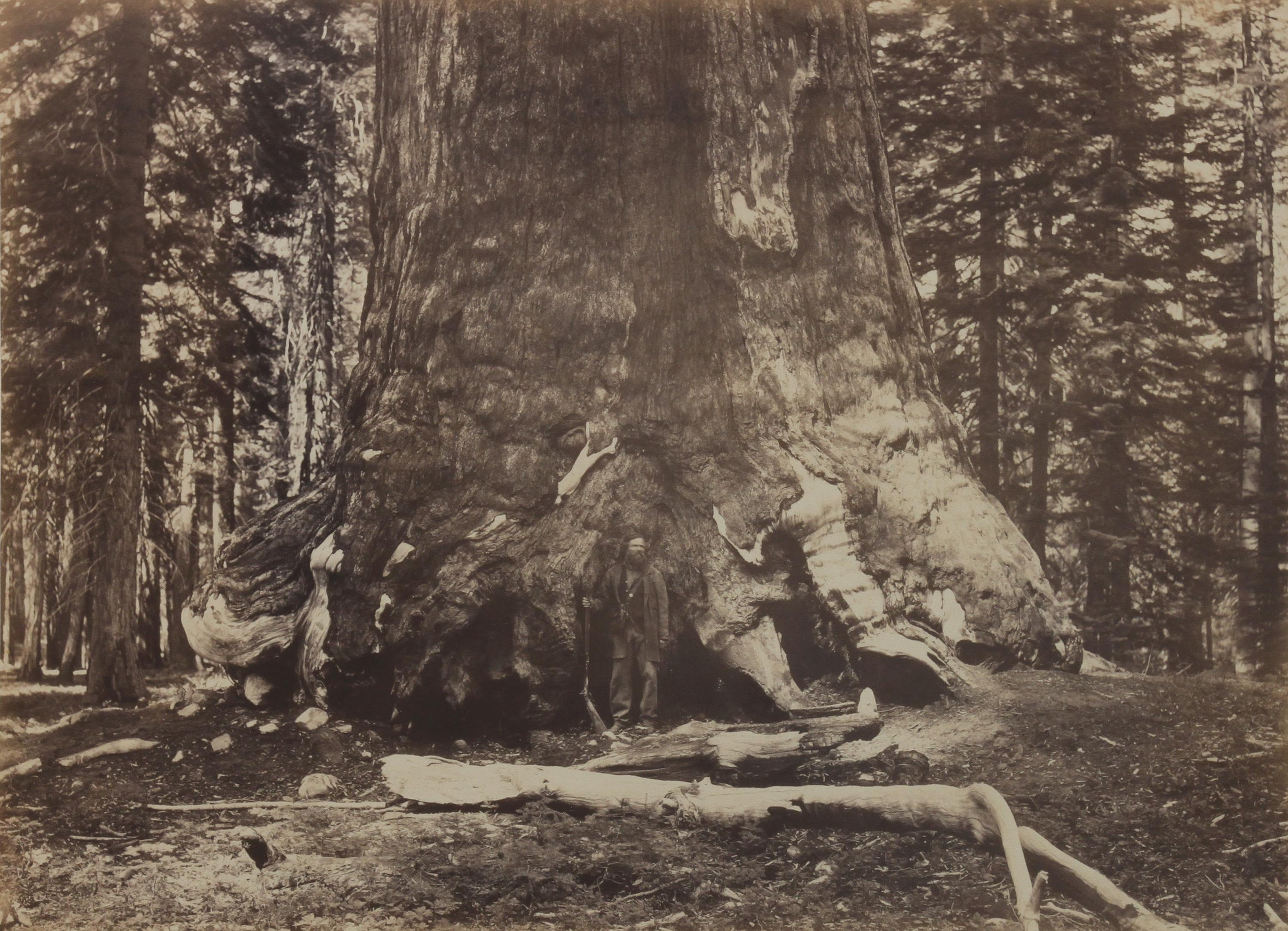 Carleton Eugene Watkins, (American, 1829-1916), North Dome, Royal Arches, Washington Column Half Dome, 4967 ft. Section of Grizzly Gian