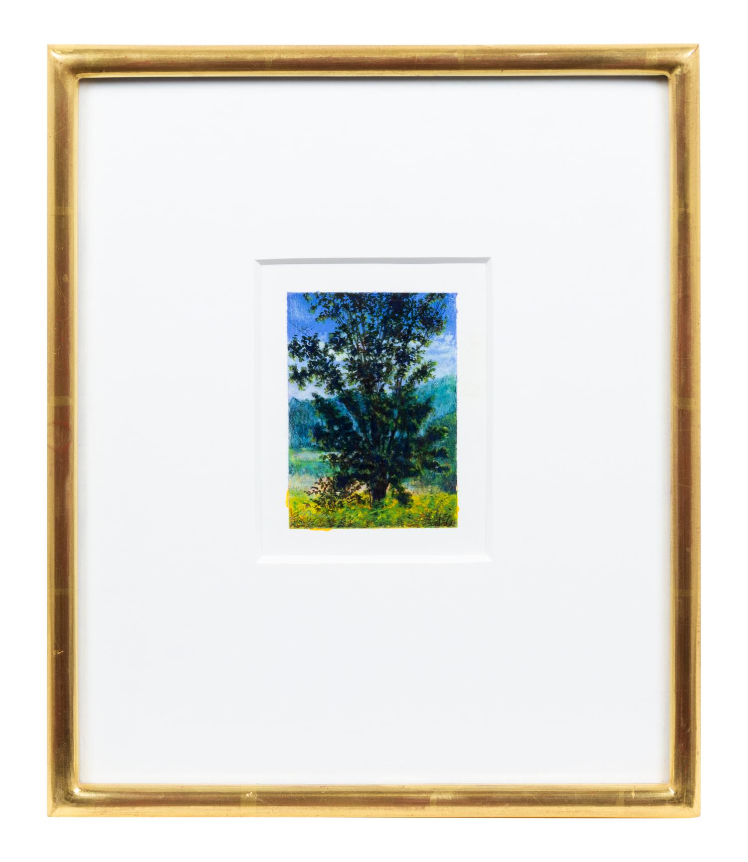 Joan Nelson (American, b. 1958) Untitled (Maple Tree…