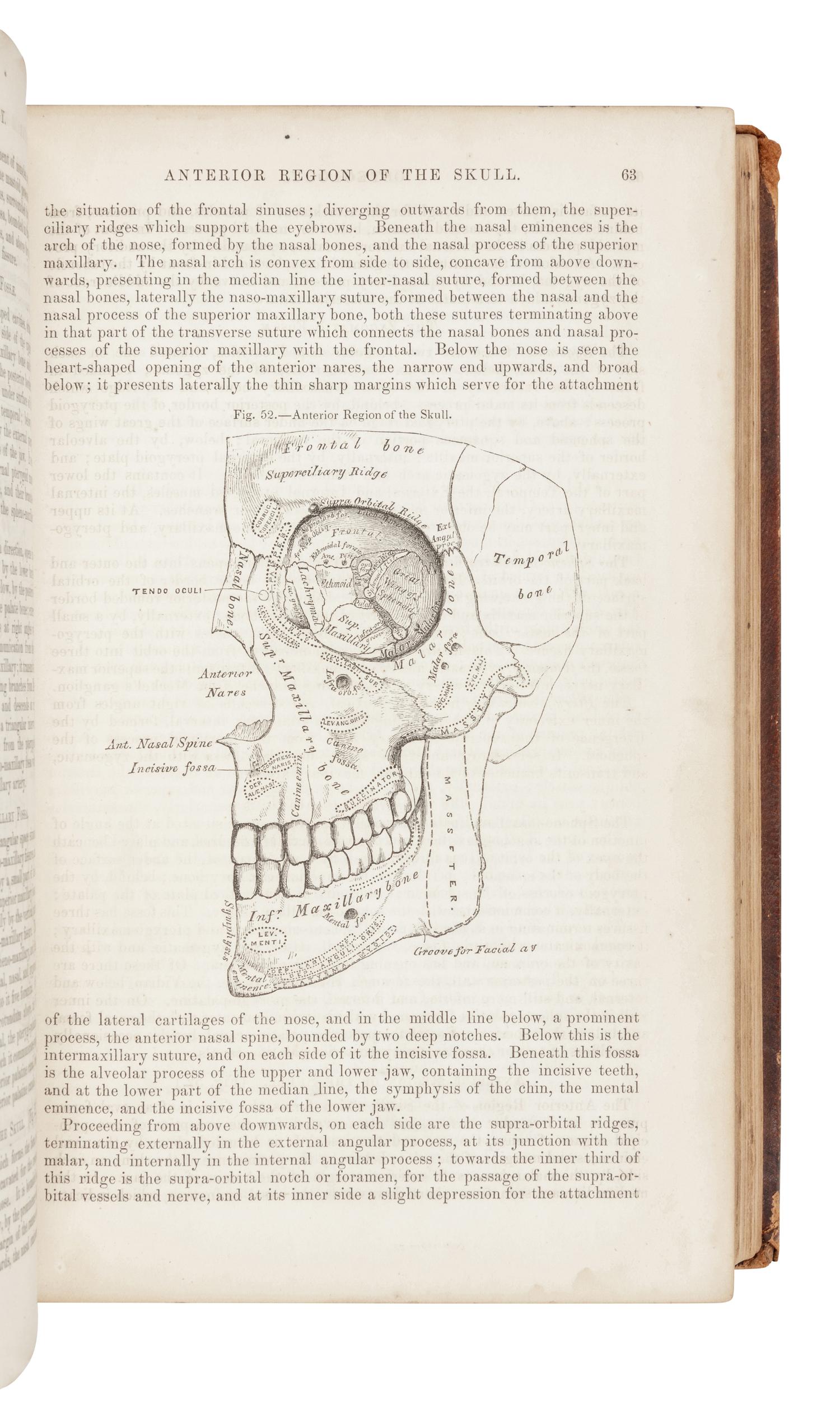 GRAY, Henry (1825-1861). Anatomy, Descriptive and Surgical . Philadelphia: Blanchard and Lea, 1859.