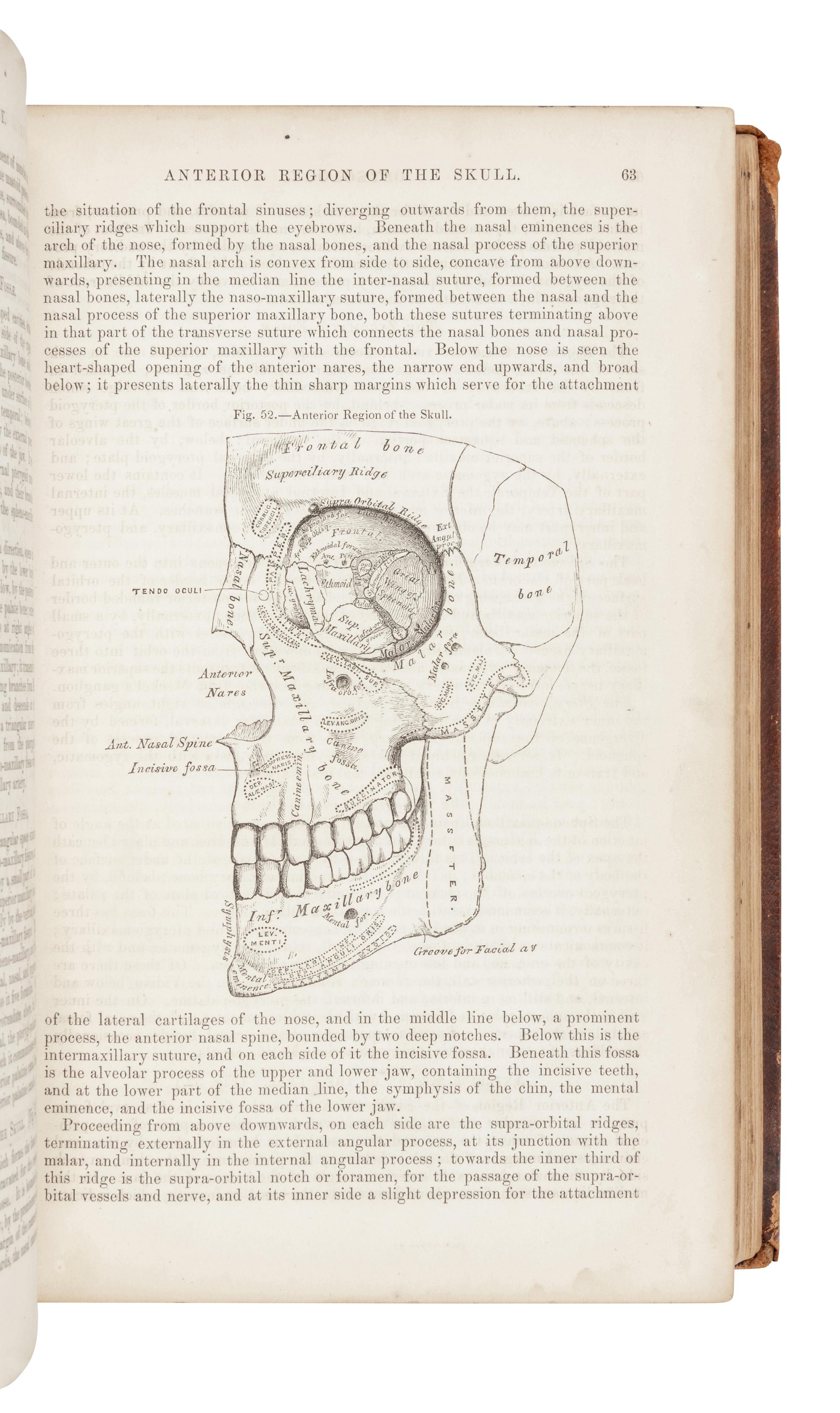 GRAY, Henry (1825-1861). Anatomy, Descriptive and Surgical . Philadelphia: Blanchard and Lea, 1859.