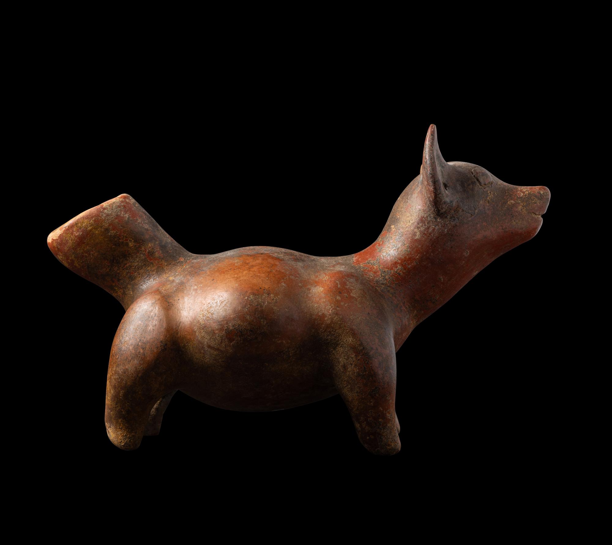 A Colima Effigy Dog Vessel