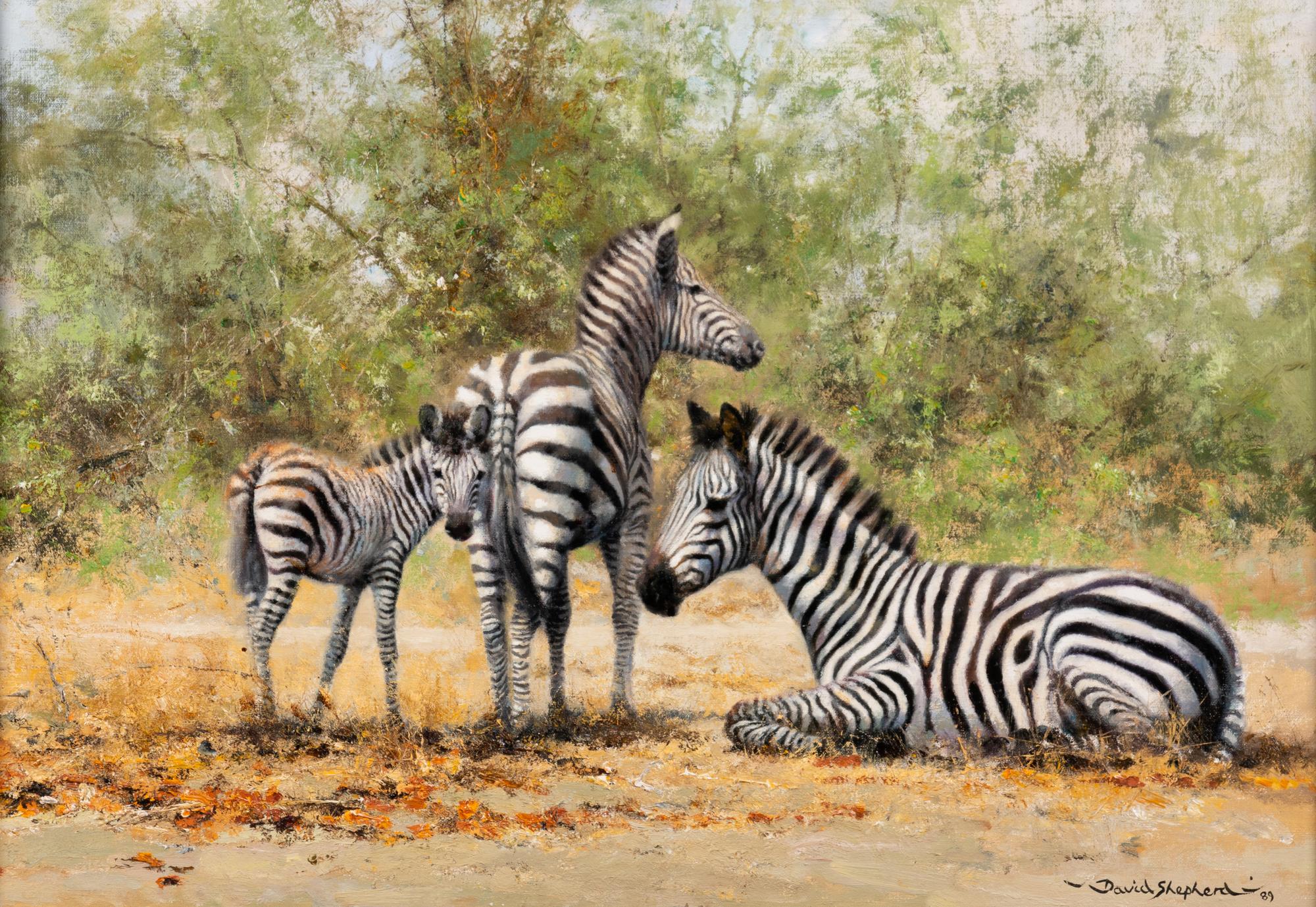 Three Zebras