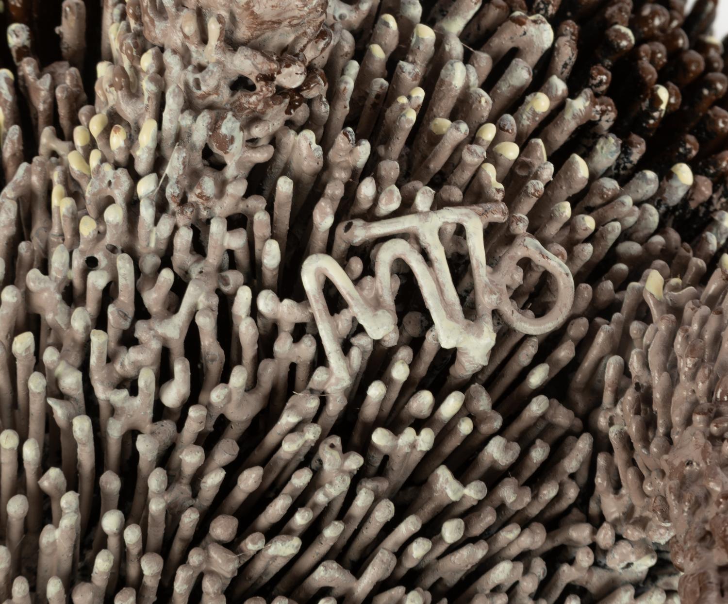 Hedgehog , 2010