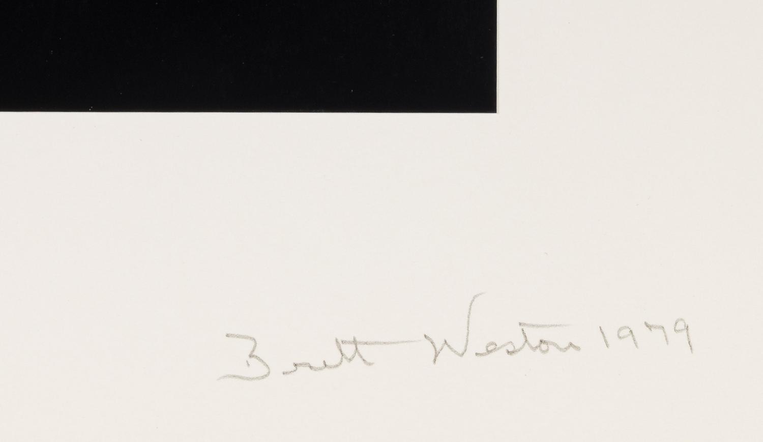 Brett Weston (1911-1993) Reflections, 1979